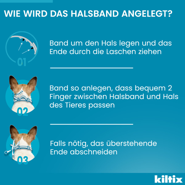 KILTIX Halsband f.mittelgroße Hunde