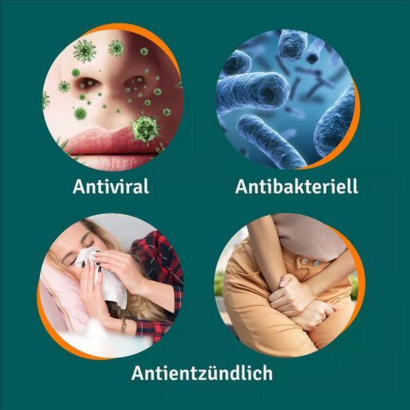 ANGOCIN Anti Infekt N Filmtabletten