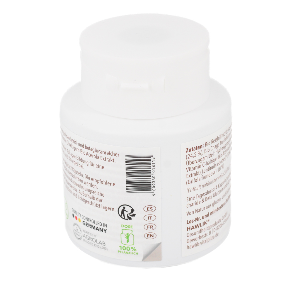 BIO VITALPILZMISCHUNG Beweglichkeit Kapseln