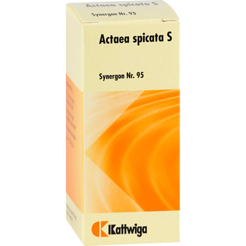 SYNERGON KOMPLEX 95 Actaea spicata S Tropfen
