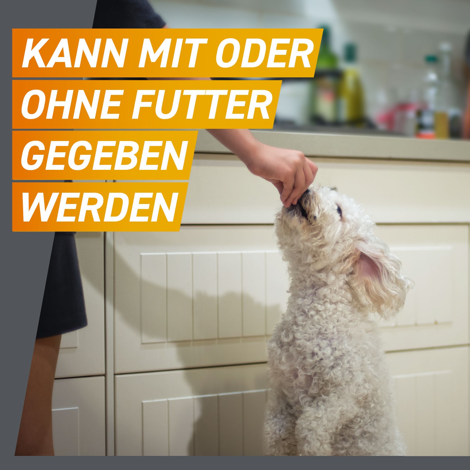 FRONTPRO 28 mg Kautabletten f.Hunde >4-10 kg