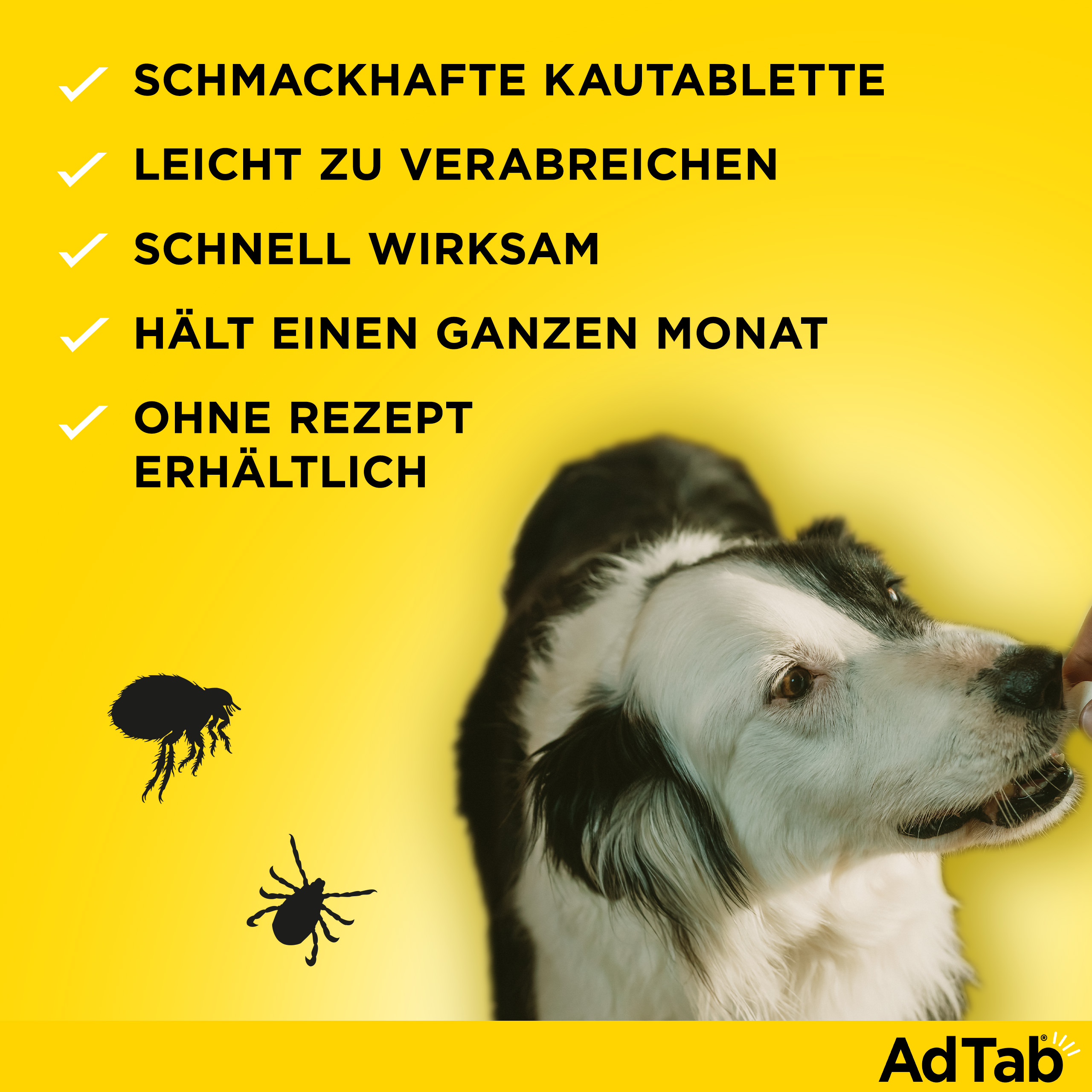ADTAB 225 mg Kautabletten für Hunde >5,5-11 kg