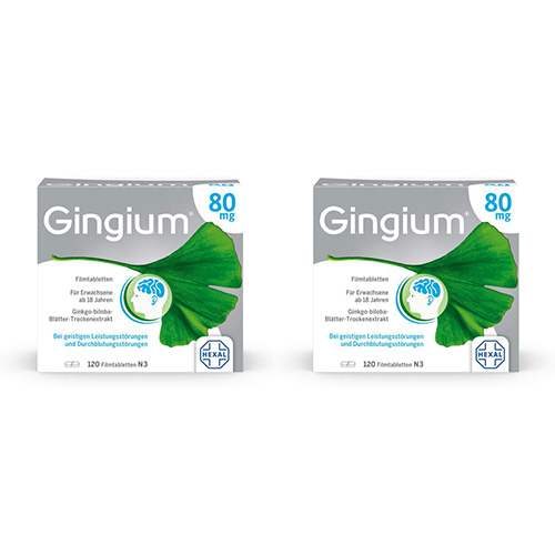 GINGIUM 80 mg Filmtabletten Doppelpackung (2x 120St)