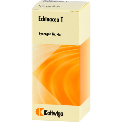 SYNERGON KOMPLEX 4a Echinacea T Tabletten